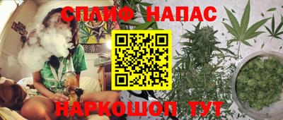 mdpv Гатчина