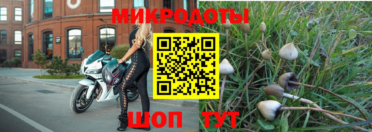 Псилоцибиновые грибы мухоморы  Вход с VPN  Псилоцибиновые грибы ЛСД  Бугуруслан 